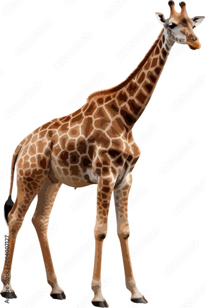 Giraffe clip art