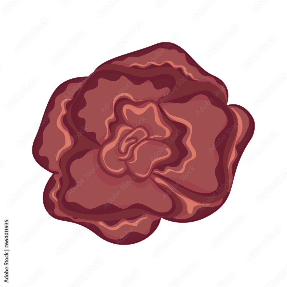 Colored rose flower Aquarela style Vector illustration