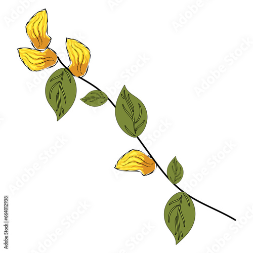 Colored sketch of natural leaves branch Vector illustration