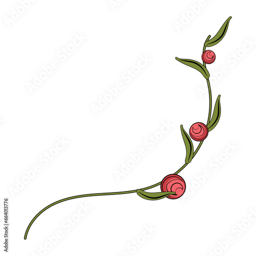 Colored sketch of natural leaves branch Vector illustration