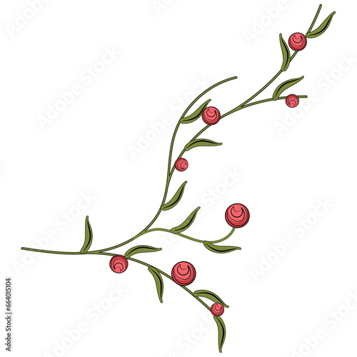 Colored sketch of natural leaves branch Vector illustration
