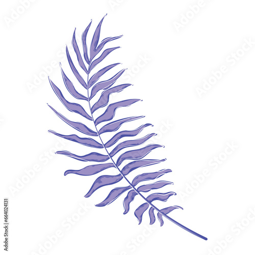 Isolated detailed colored leaf Vector illustration