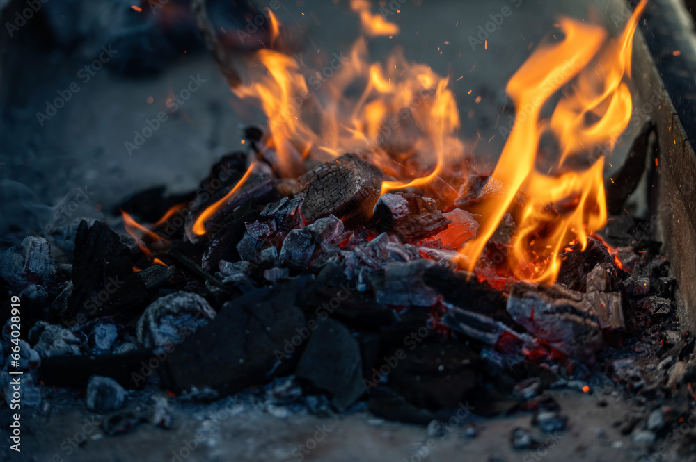 Close up of bonfire with flame and firewood outdoors Close up of bonfire with flame and firewood outdoors