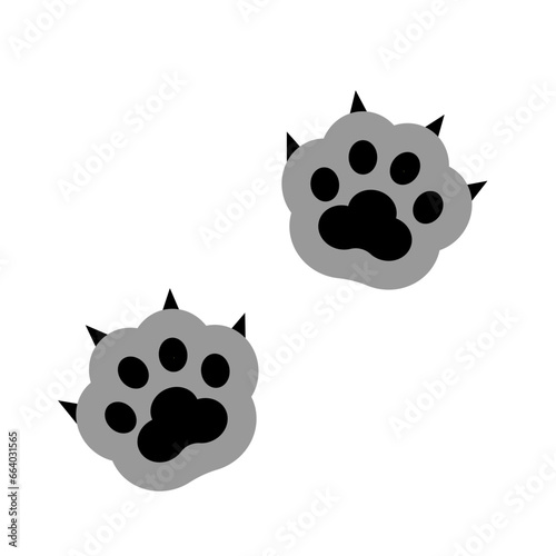 Isolated cute cat paws with claws