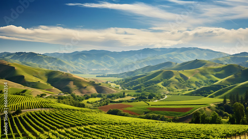 rolling vineyard-covered hills under a clear blue sky, showcasing the beauty and charm of wine country landscapes 