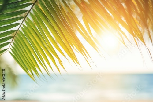 Blur green palm on tropical beach