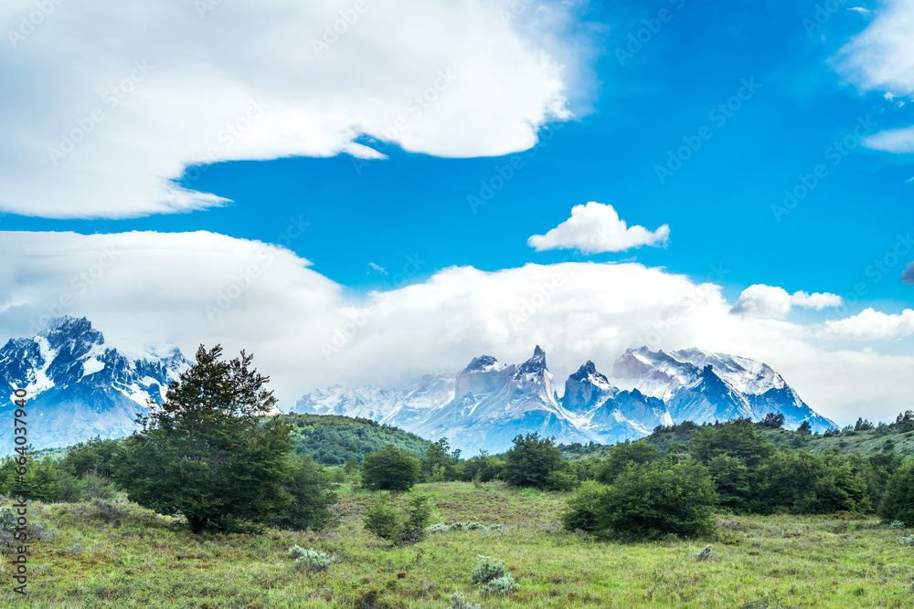 Fototapeta premium Torres del Paine National Park, in Chilean Patagonia