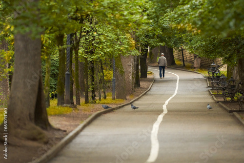 Wallpaper Mural A picturesque alley in the park with decorative benches along the road and a lone elderly pedestrian in the distance. Torontodigital.ca