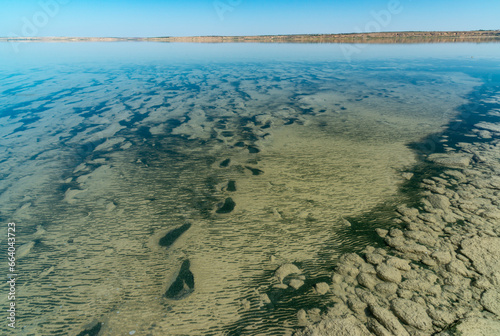 The bottom of the drying dead sea (Kuyalnik estuary, Odea region) photo