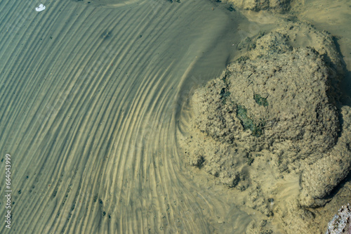 The bottom of the drying dead sea (Kuyalnik estuary, Odea region) photo