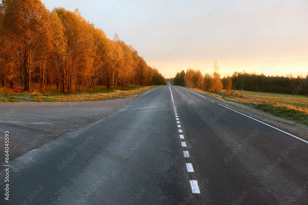 Asphalt road with markings and views of trees painted in bright autumn colors. Early sunlight on the trees.