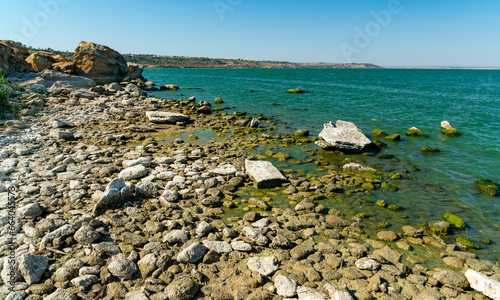 Natural landscape, green Enteromorpha algae on rocks near the shore of the Khadzhibey estuary