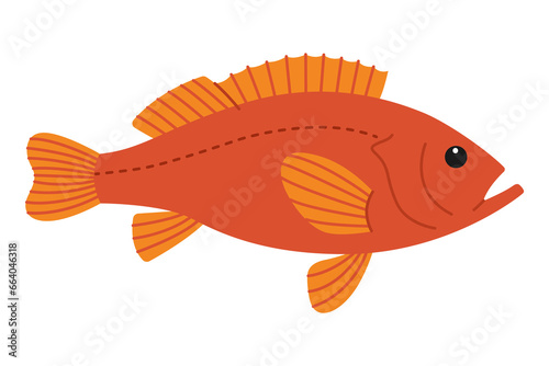 Cute orange sea bass. Sea and ocean fish. Underwater life. Childish rockfish character. Vector flat illustration isolated on white background