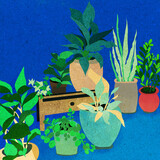 ilustracja kolorowe doniczki z roślinami drewniana pólka niebieskie tło 