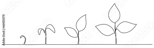 Plant growth process continuous line art drawing. Vector illustration isolated on white.