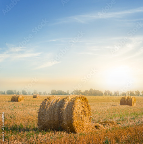 summer wheat field with haystack at the sunset, beautiful seasonal agricultural scene