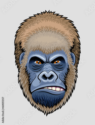 Adult Gorilla Head. An artistic illustration of an adult male gorilla's or chimpanzee's head created with vector graphics isolated on light gray background.