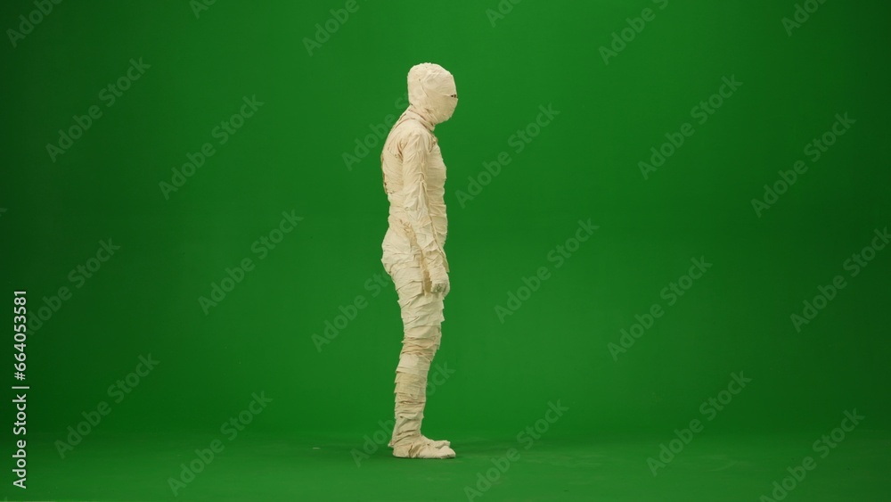 A mummy wrapped in bandages. Green screen isolated chroma key. Mock up, workspace, advertisement. Full length. Side view. A mummy wrapped in bandages. Green screen isolated chroma key. Mock up, workspace, advertisement. Full length. Side view.