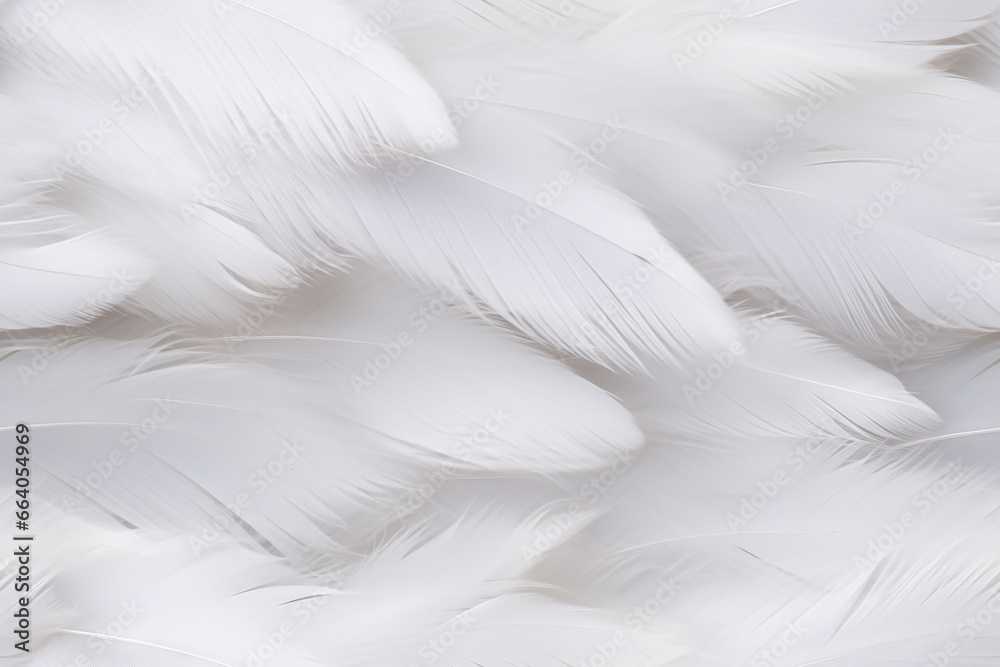 Obraz premium white soft feathers background wall texture pattern seemless
