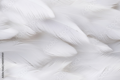 white soft feathers background wall texture pattern seemless © Aldis