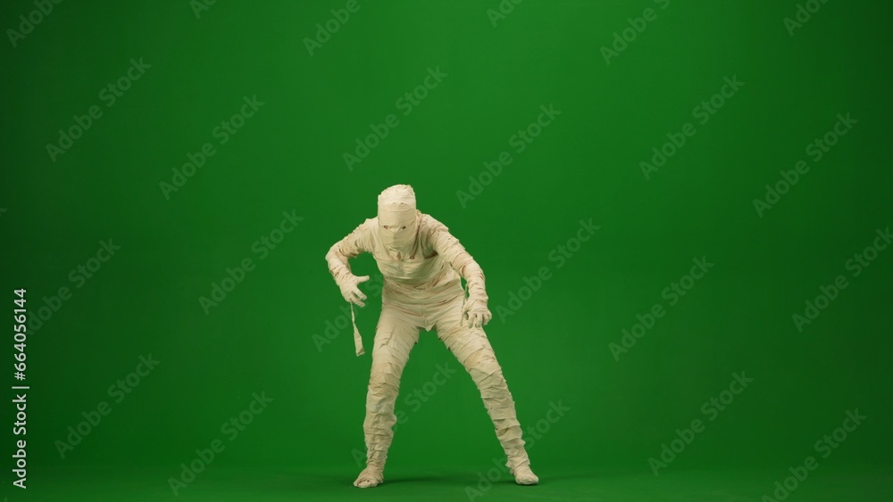 Green screen isolated chroma key photo capturing a crooked mummy staggering, walking towards the camera with its arms outstretched. Full length. Green screen isolated chroma key photo capturing a crooked mummy staggering, walking towards the camera with its arms outstretched. Full length.