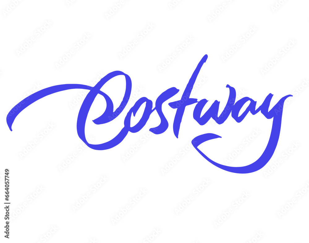 costway costway