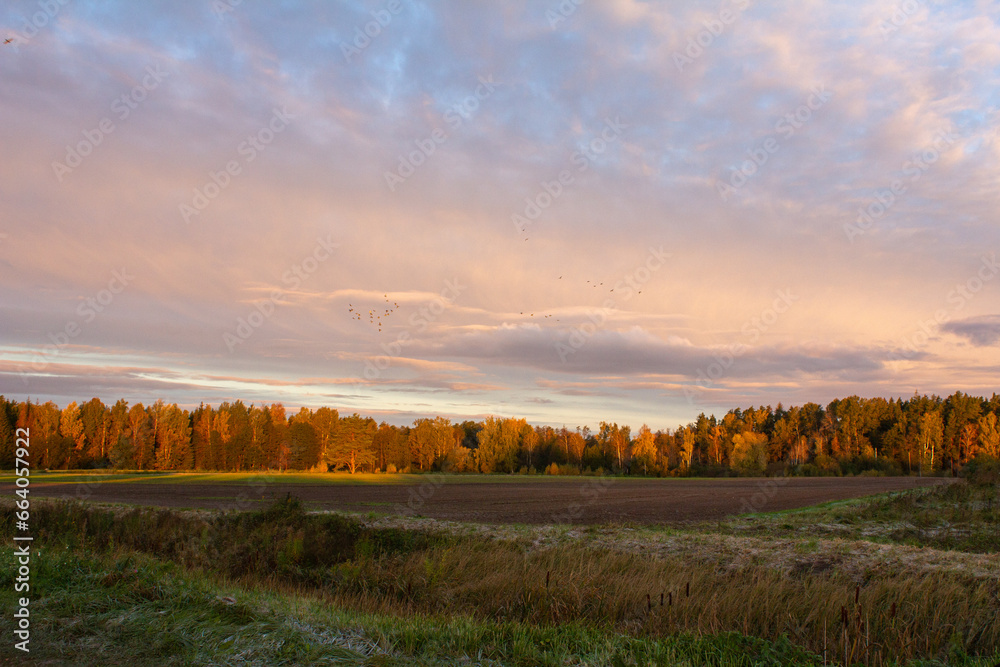 Sunny, colorful, autumn landscape from early morning after the first frost