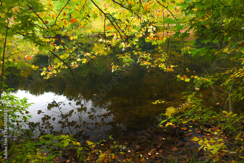 Reflection of autumn leaves in the pond, Saunders-Monticello Trail, Charlottesville, Virginia