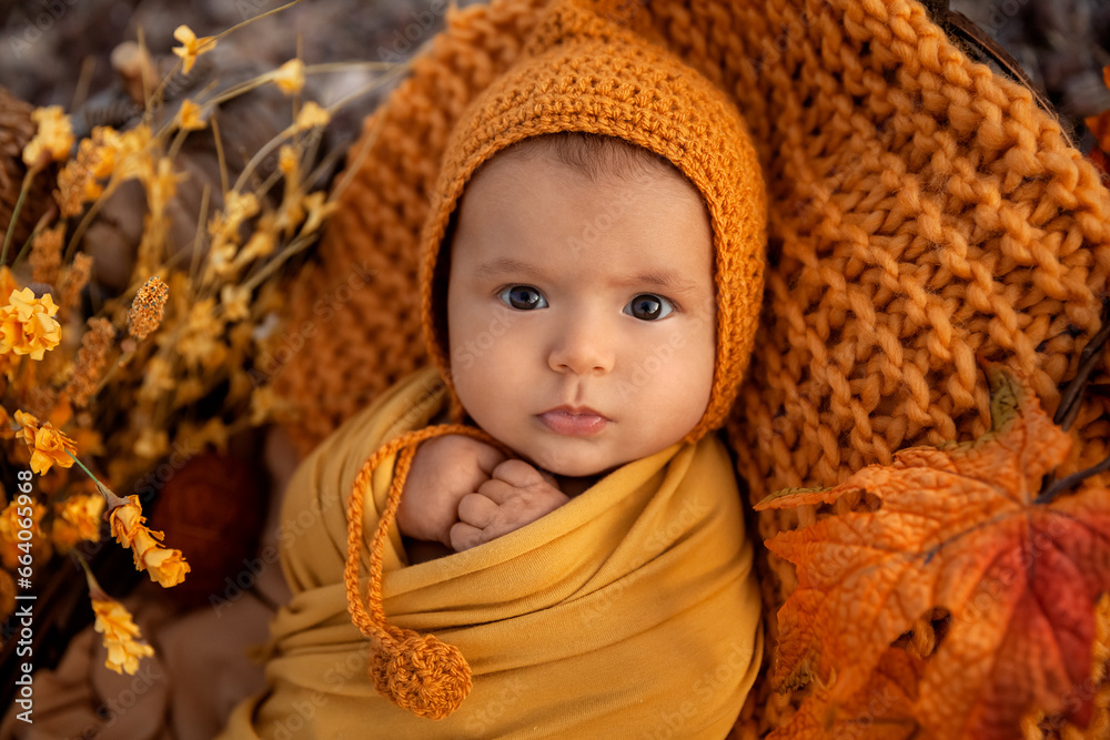 Closeup portrait of newborn baby girl in autumn time, season holiday and childhood memories concept Closeup portrait of newborn baby girl in autumn time, season holiday and childhood memories concept