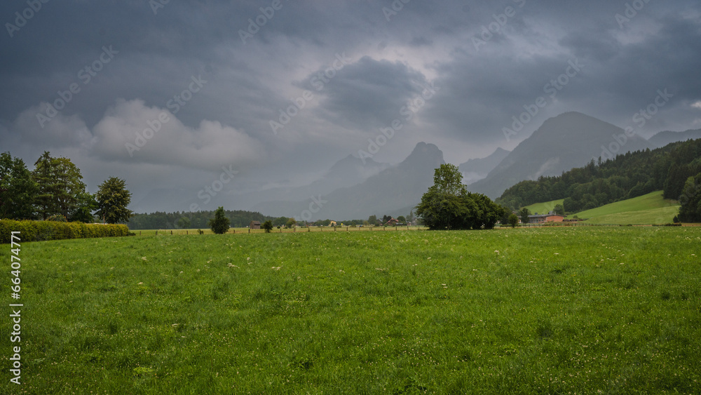 Obraz premium Meadow flowers under the alpine mountains with a mountain village in the background during the storm. Heavy gray clouds covering the mountains.