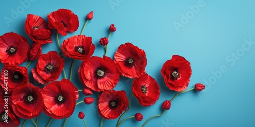 Banner with red poppy flowers on blue background, symbol for remembrance, memorial, anzac day © netrun78