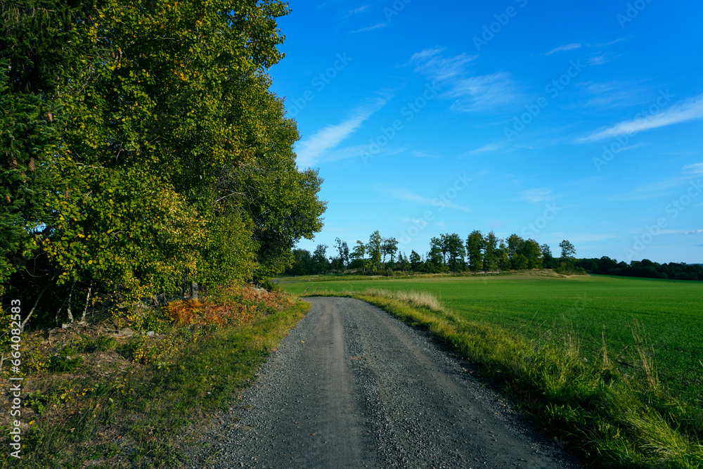 Empty road amidst trees against sky Empty road amidst trees against sky