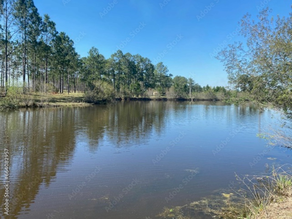 Southern Winter Lake Reflection