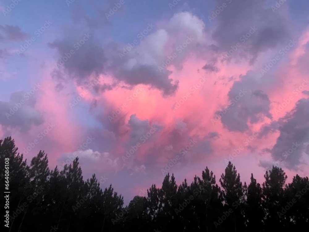 Pink Sky over Tree Line Pink Sky over Tree Line