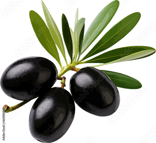 Olives with leaves clip art