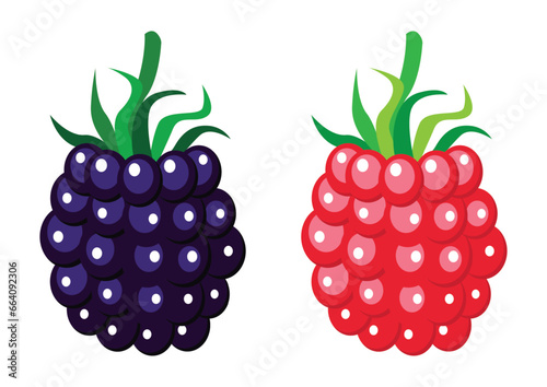 Blackberry and raspberry isolated icons on white background. Vector illustration.