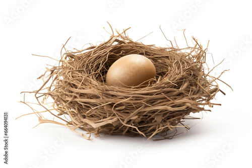 Bird Nest with an Egg: Birth and Life Concept