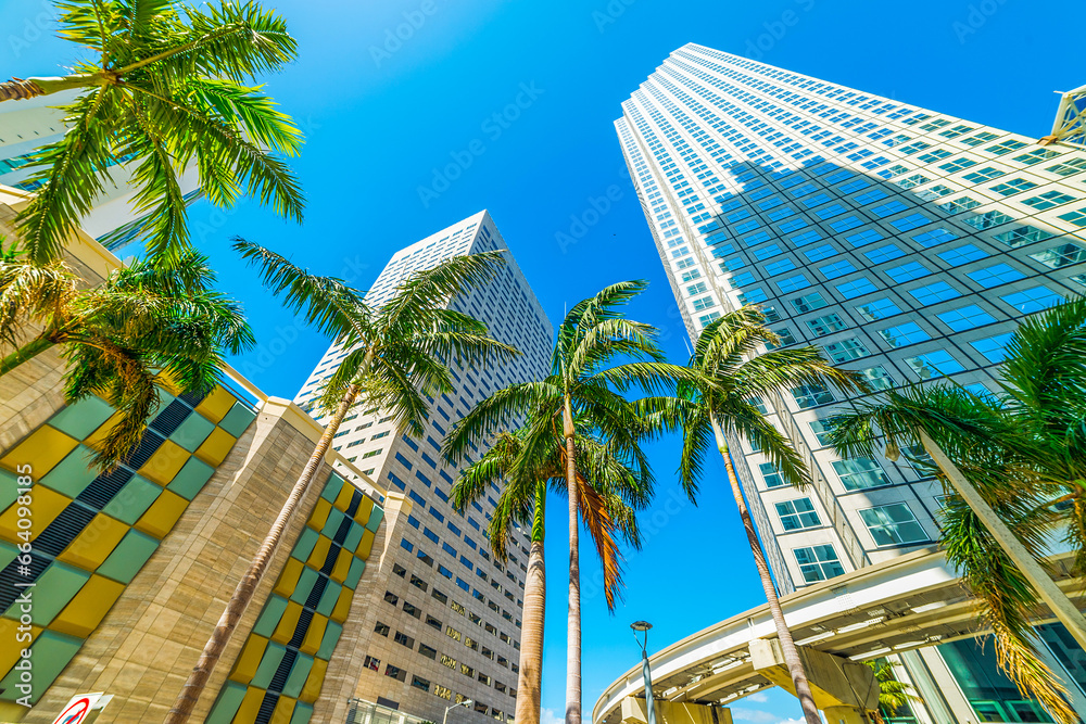Skyscrapers and palm trees in downtown Miami on a sunny day