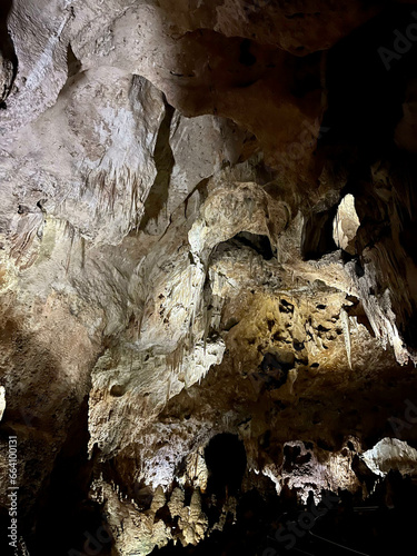 Stalactites and Stalagmite and other rock formations inside the Big Room in Carlsbad Cavern New Mexico