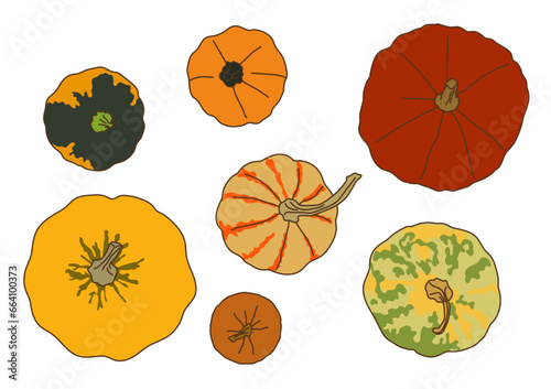 Various Pumpkin Illustrations - Collection 1