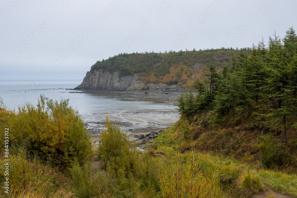View of the sea coast. Autumn landscape. Larch trees grow on the shore. Travel and hiking in nature. Overcast weather. View of the sea coast. Autumn landscape. Larch trees grow on the shore. Travel and hiking in nature. Overcast weather.