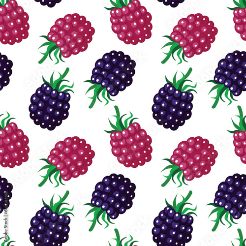 Blackberry and raspberry seamless pattern on colorful background. Vector illustration.