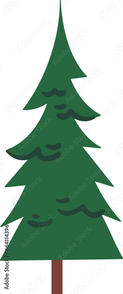 Fir Tree Plant Fir Tree Plant