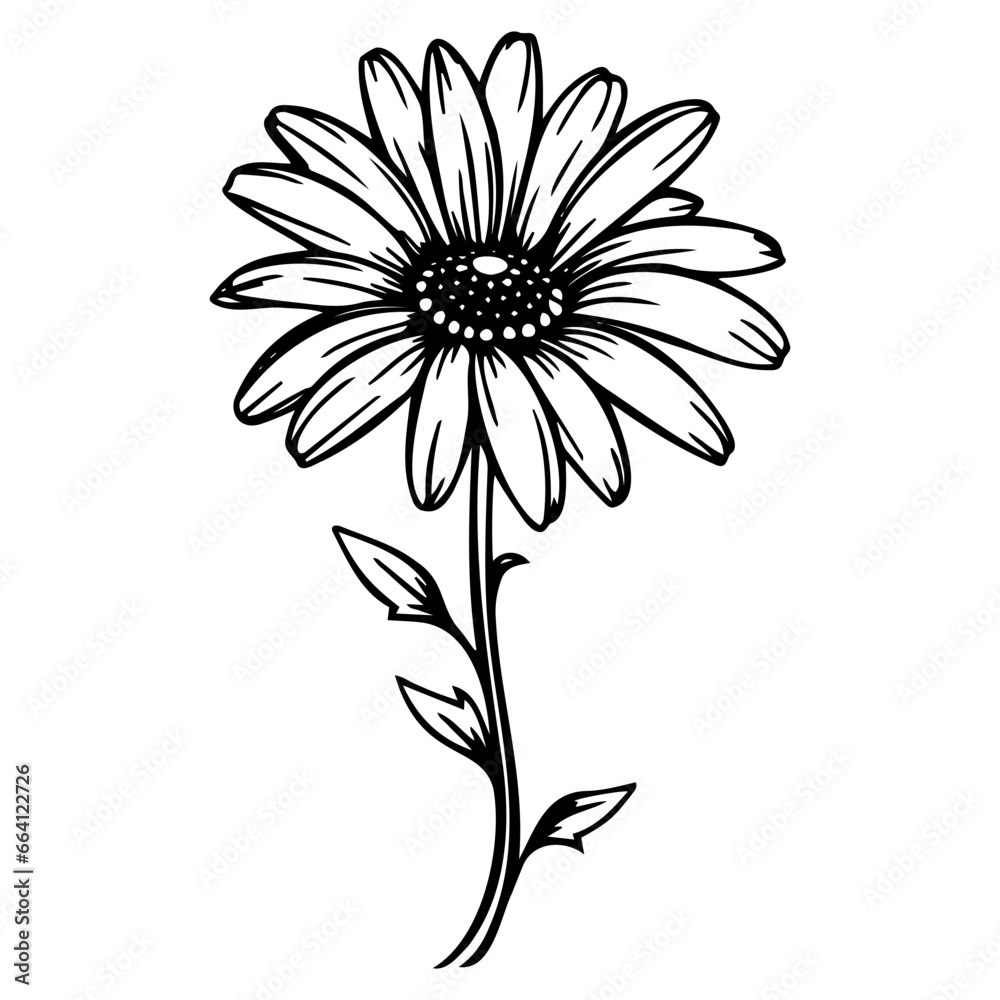 beautiful monochrome, black and white daisy flower isolated. for greeting card and invitations of the wedding, birthday, Valentine's Day, mother's day and other seasonal holiday
