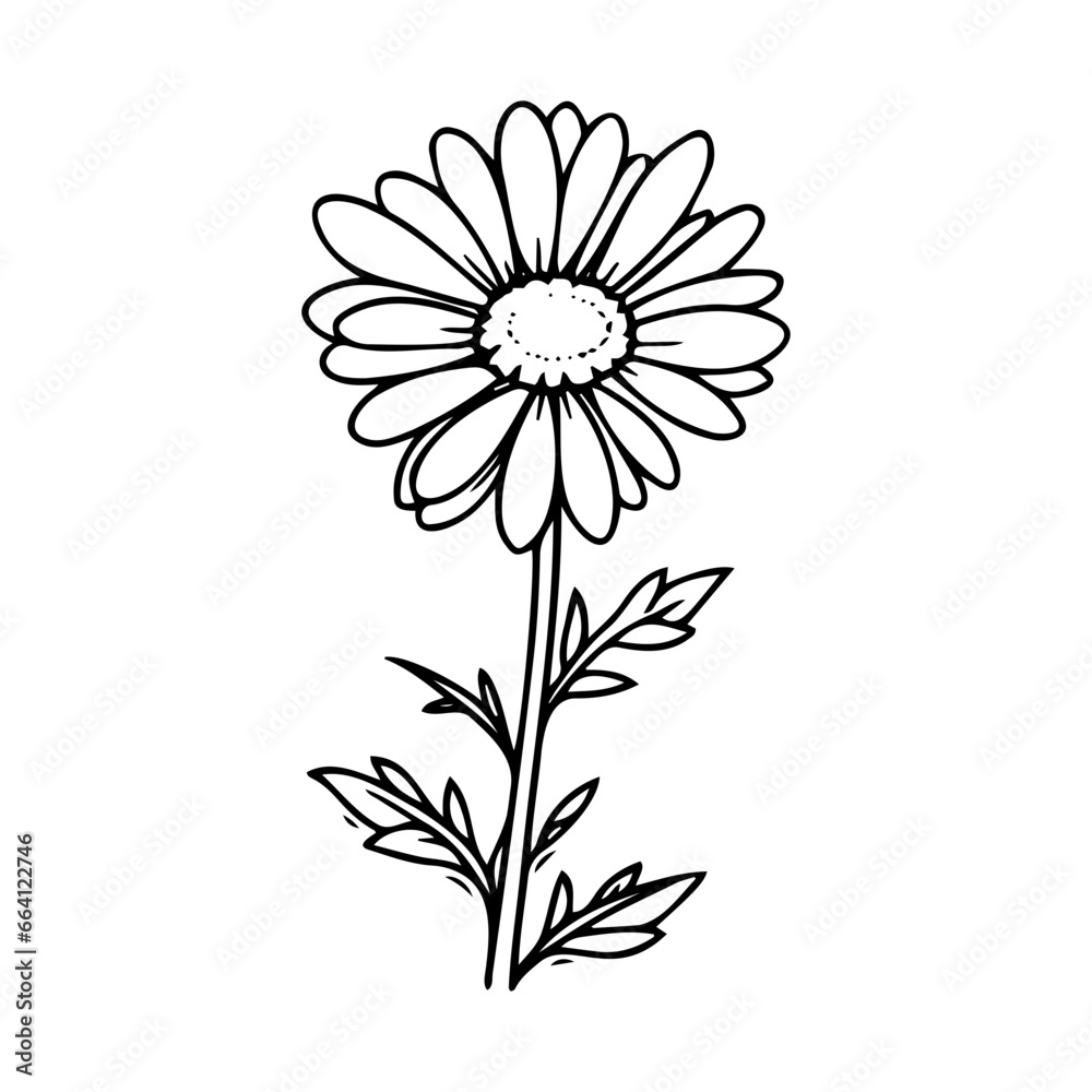 beautiful monochrome, black and white daisy flower isolated. for greeting card and invitations of the wedding, birthday, Valentine's Day, mother's day and other seasonal holiday