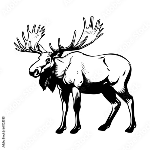 vector silhouette moose on white background, ai generated