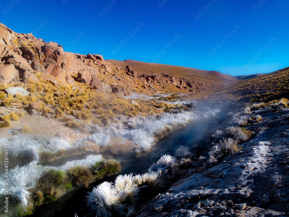 Geyser del Tatio, terceiro maior campo geotermico do mundo situado na cordilheira dos andes no chile	