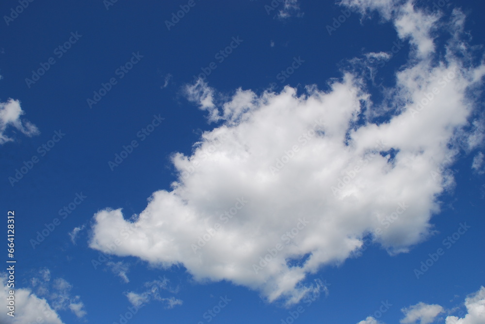 Lake under a cloudy sky. Forest lake with small waves on the surface, under a light blue sky with white cumulus and cirrus clouds. A forest with green foliage grows along the shores of the lake. Lake under a cloudy sky. Forest lake with small waves on the surface, under a light blue sky with white cumulus and cirrus clouds. A forest with green foliage grows along the shores of the lake.