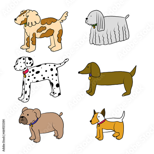Perros adorables transparentes