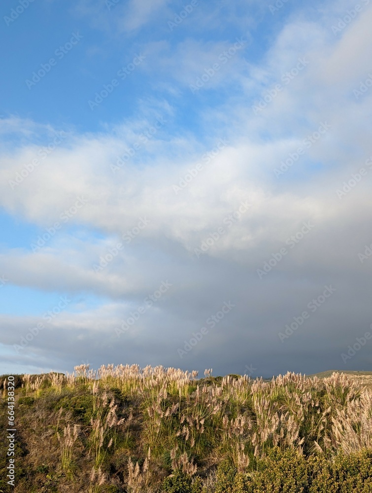 fog over rolling hills under a cloud-kissed sky fog over rolling hills under a cloud-kissed sky